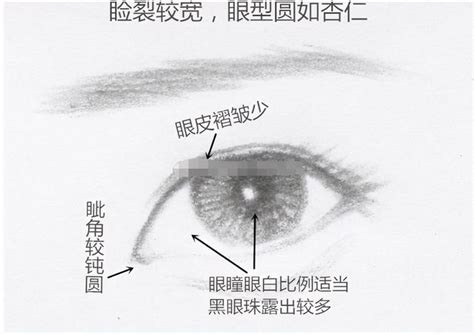 不要的盆栽 瑞鳳眼男